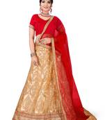 Beige Embroidered Net Semi Stitched Lehenga With Dupatta