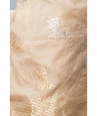 Stunning light biege hue with gold & silver zari work cow motifs and golden zari border 4