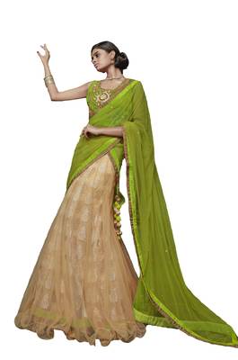 Beige Embroidered Net Semi Stitched Lehenga With Dupatta 1