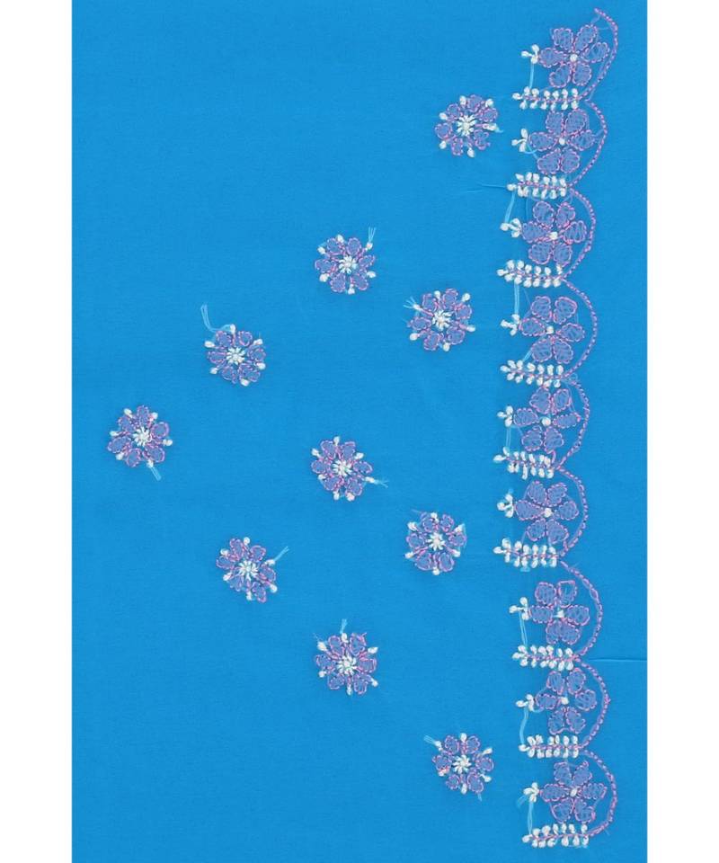 Ada Hand Embroidered Blue Faux Georgette Lucknow Chikankari Saree With Blouse