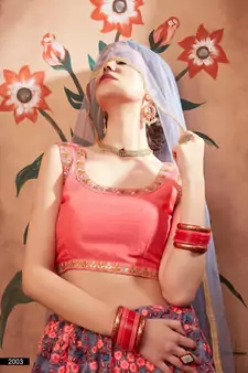 Grey Zari And Thread Embroidered Net Designer Lehenga Choli For Women
