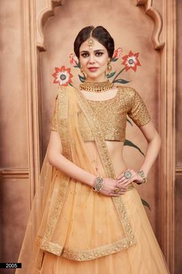 Beige Dori and Sequins Embroidered Semi Stitched Net Lehenga choli for wedding 2