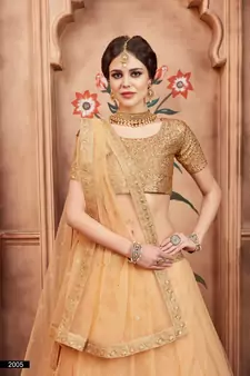 Beige Dori and Sequins Embroidered Semi Stitched Net Lehenga choli for wedding