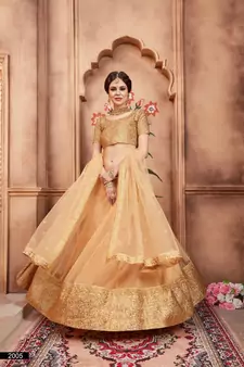 Beige Dori and Sequins Embroidered Semi Stitched Net Lehenga choli for wedding