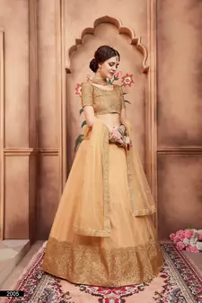 Beige Dori and Sequins Embroidered Semi Stitched Net Lehenga choli for wedding