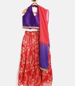 Red Printed Net Stitched Lehenga
