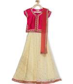 Cream Embroidered Net Stitched Lehenga