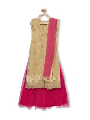 Pink Embroidered Faux Net Stitched Lehenga 1