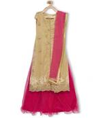 Pink Embroidered Faux Net Stitched Lehenga