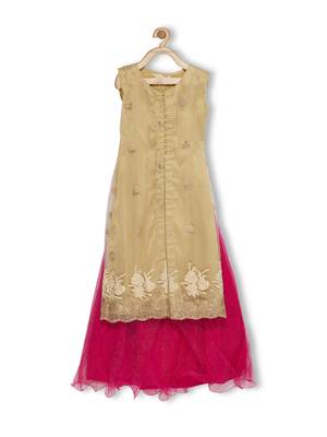 Pink Embroidered Faux Net Stitched Lehenga 2