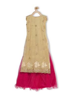 Pink Embroidered Faux Net Stitched Lehenga 3