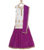 Purple Embroidered Faux Net Stitched Lehenga