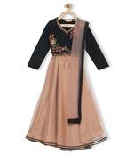 Beige Embroidered Faux Net Stitched Lehenga