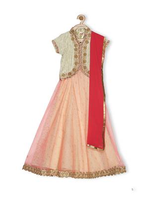 Cream Embroidered Faux Net Stitched Lehenga 1