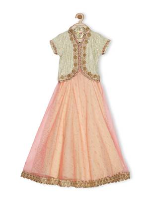 Cream Embroidered Faux Net Stitched Lehenga 2