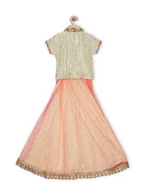 Cream Embroidered Faux Net Stitched Lehenga 3