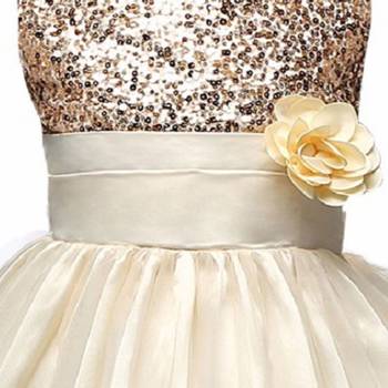 Gold Plain Net Kids Frocks 3