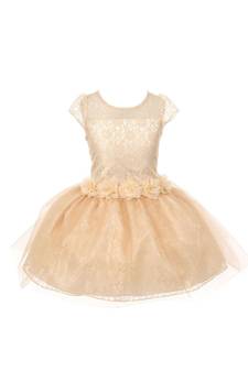 Gold Plain Net Kids Frocks
