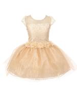 Gold Plain Net Kids Frocks
