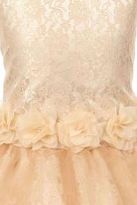 Gold Plain Net Kids Frocks 3