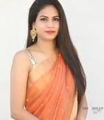 Orange hand woven chanderi saree with blouse