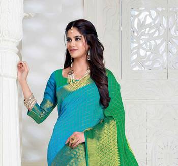 Multicolor embroidered dupion silk saree with blouse 3