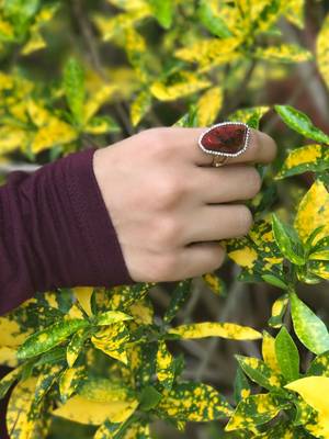 Maroon Rings 3