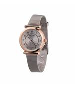 Chic Copper Silver Watch