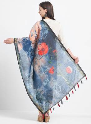 Blue Printed Chanderi Silk Dupatta 4