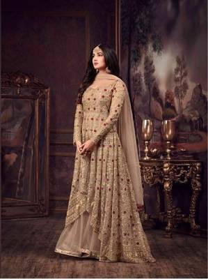 Chiku embroidered net salwar 1