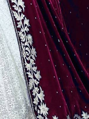 Red Woven Velvet Saree With Blouse 3
