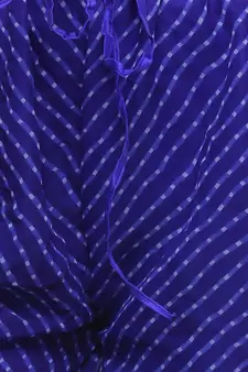 Blue Chiffon Printed Palazzo