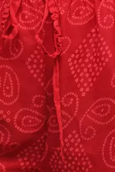 Red Chiffon Printed Palazzo