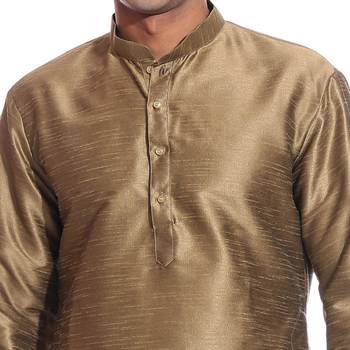 Bronze Plain Dupion Silk Dhoti Kurta 3