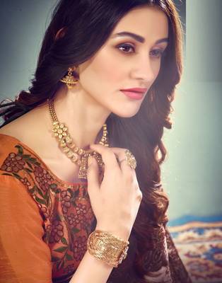 Brown embroidered pure chiffon saree with blouse 2