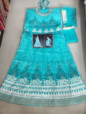 Sky-blue embroidered jacquard salwar 2