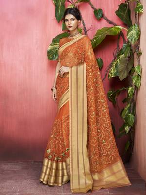Brown embroidered organza saree with blouse 1