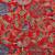 Red and multicoloured Viscose Rayon Floral and Paisley Heavy Embroidered Shawl