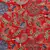 Red and multicoloured Viscose Rayon Floral and Paisley Heavy Embroidered Shawl