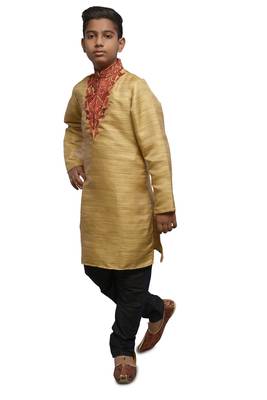 Fawn Embroidered Bhagalpuri Silk Boys Kurta Pyjama 4