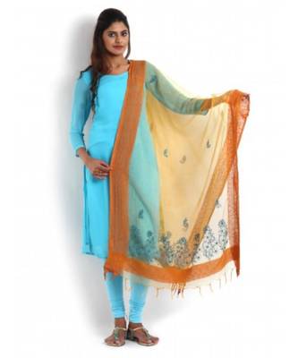 Coral Organza Dupatta with Chikankari 1