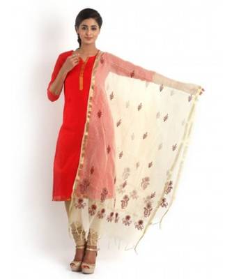 Beige Colour Dupatta with Chikankari & Zari weave 1