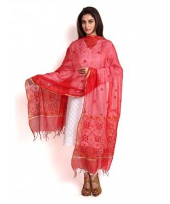 Red Chanderi Silk Dupatta with Chikankari 1
