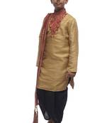Fawn Embroidered Bhagalpuri Silk Boys Kurta Pyjama