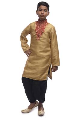 Fawn Embroidered Bhagalpuri Silk Boys Kurta Pyjama 5