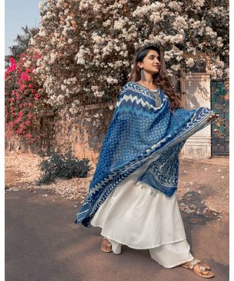 Indigo Dupatta Kurta Set 5