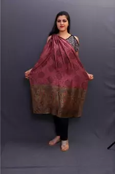 This Delicate Wrap Along With Mauve Base And Multicoloured Border Looks Amazing.