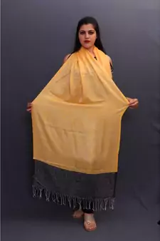 Delicate Wrap Along With Yellow Base And Highly Defined Broad Border Gains Whole Attention.