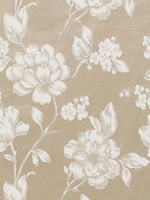 ROSARA HOME Pack of Single Eyelet Polycotton Curtain 3