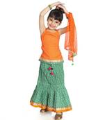 Sanganeri Print Lehenga Choli Set